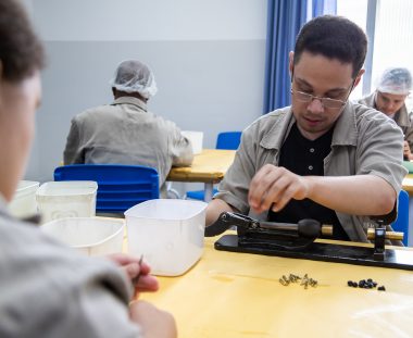 Qualificação Profissional para pessoas com deficiência intelectual: por que é tão importante? Qualificação Profissional para pessoas com deficiência intelectual: por que é tão importante?